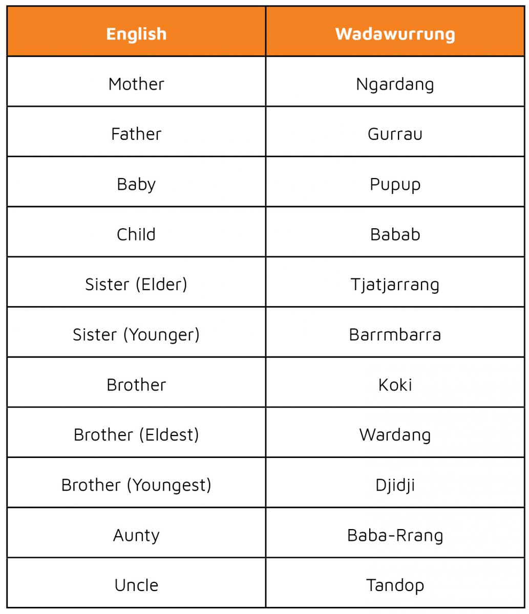 Aboriginal Language Translation To English